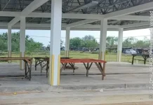 Pengelola KNMP Padang Sarai Ajak Pedagang Ikan Pindah ke KNMP