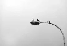 Marka dan Lampu Jalan, Panduan Kecil untuk Keselamatan