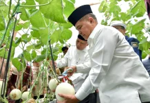 Pemkab Agam Dorong Inovasi Petani Milenial Berbasis Teknologi