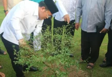 Sekjen Kemenag Tanam Pohon di Masjid Raya Sumbar, Gaungkan Ekoteologi