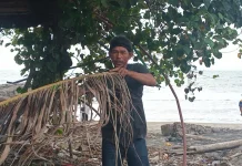 Rabo, Cara Nelayan Padang Menciptakan Rumah Ikan di Tengah Laut