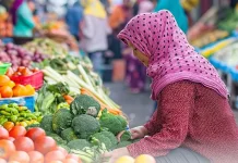 Inflasi Sumbar Agustus 2026 Turun Jadi 3,76 Persen