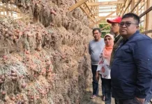UNP Jajaki Hilirisasi Hasil Pertanian di Solok