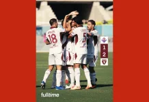 Torino Comeback, Fiorentina Tumbang di Franchi