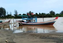 KNMP Padang Sarai: Tantangan dan Peluang Menuju Kebangkitan Ekonomi Pesisir