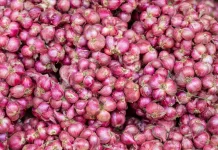 Bawang Merah Tak Sekadar Bumbu, Ini Manfaatnya bagi Kesehatan