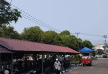 Kabut Asap di Sumbar Berangsur Menurun, Kualitas Udara Masih Kategori Sedang