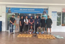BNNP Sumbar Gagalkan Pengiriman Hampir 30 Kilogram Ganja