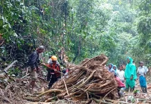 Pencarian Hari Kedua, Korban Banjir Bandang di Pasaman Belum Ditemukan