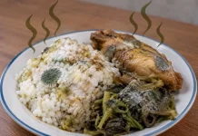 Penyebab Makanan Cepat Basi