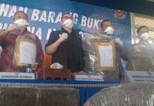 BNNP Sumbar Musnahkan Puluhan Kilogram Ganja Hasil Pengungkapan Dua Kasus