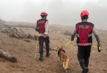Polda Sumbar Turunkan Anjing Pelacak Cari Korban Banjir Bandang Solok