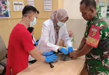 Karantina Sumbar Vaksinasi Hewan Peringati Hari Karantina ke-149
