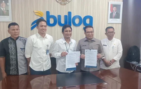 Bulog Sumbar Nilai Potensi Pertanian Dharmasraya Dorong Penyerapan Gabah