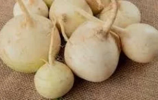 Perantau di Padang Pilih Serbu Bengkuang di Pinggir Jalan