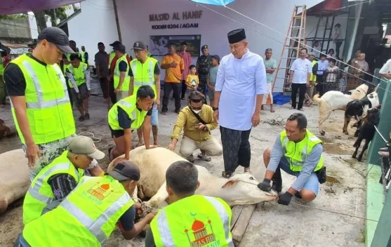 Kurban Terakhir di Ranah Minang, Dandim Agam Pamit di Sela Iduladha