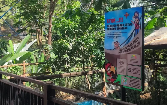 Etika Mengunjungi Kebun Binatang