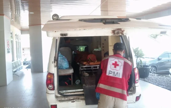 Masa Transisi, Pelayanan PMI Pasaman Barat Tetap Layani Masyarakat