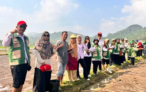 Petani di Kabupaten Limapuluh Kota Mulai Terapkan Pertanian Modern