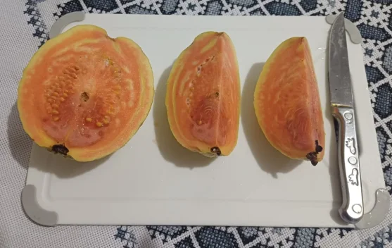 Mengapa Daging Jambu Biji Berwarna Merah Muda?