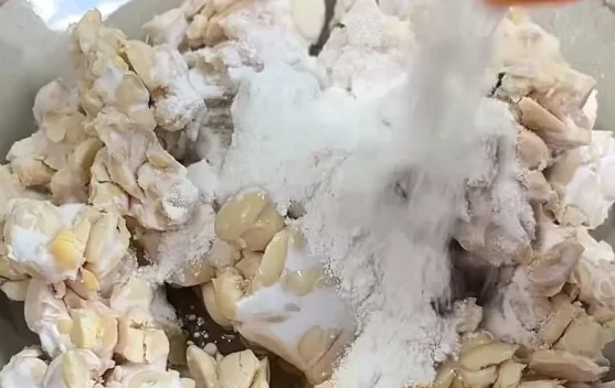 Camilan Berbahan Dasar Tempe