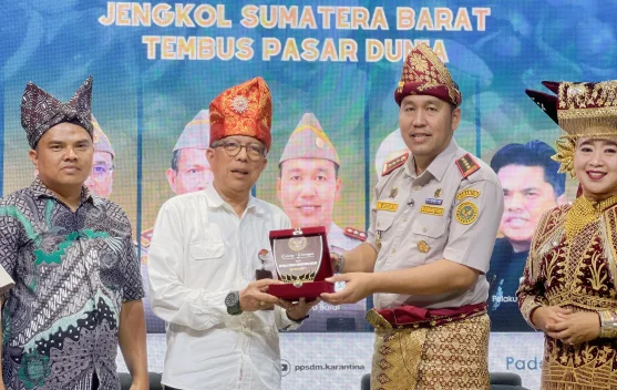Dari Oleh-oleh, Jengkol Sumbar Tembus Pasar Jepang