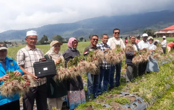 Inflasi Tahunan Sumbar Turun, Cabai dan Bawang Merah Jadi Penahan