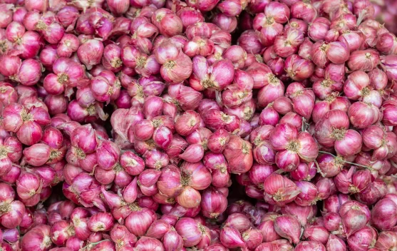 Bawang Merah Tak Sekadar Bumbu, Ini Manfaatnya bagi Kesehatan