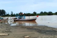 Pengelola KNMP Padang Sarai Harap Pengerukan Muara Anai