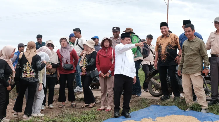 Wajah Desa Terusan Kapuas: Panen Melimpah, Infrastruktur Siap Dibenahi