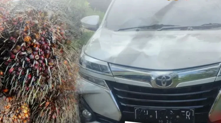 Curi Sawit, Pria di Kotim Diciduk saat Kabur Pakai Avanza
