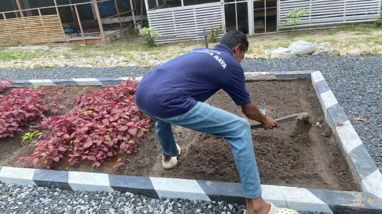 WBP Rutan Palangka Raya Pandai Bertani Berkat Pembinaan