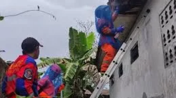 Call Center Kegawatdaruratan 112 Terima Aduan Serangan Tawon 74 Kali