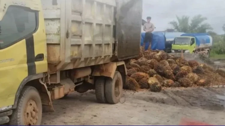 Angkut Sawit Curian, Sopir Truk Diciduk Polisi