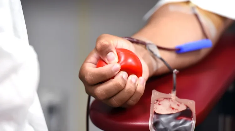 Donor Darah saat Puasa, Perhatikan Asupan Cairan dan Istirahat