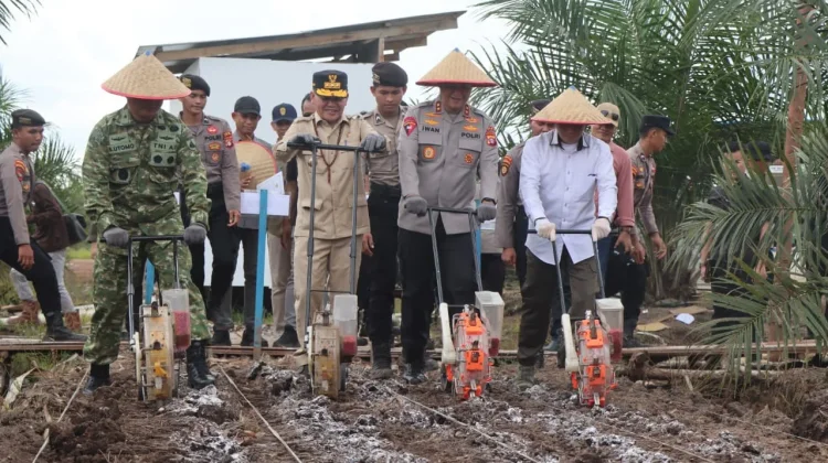 Polda Kalteng Tanam Jagung di Sela Sawit, Target Swasembada Pangan 2026