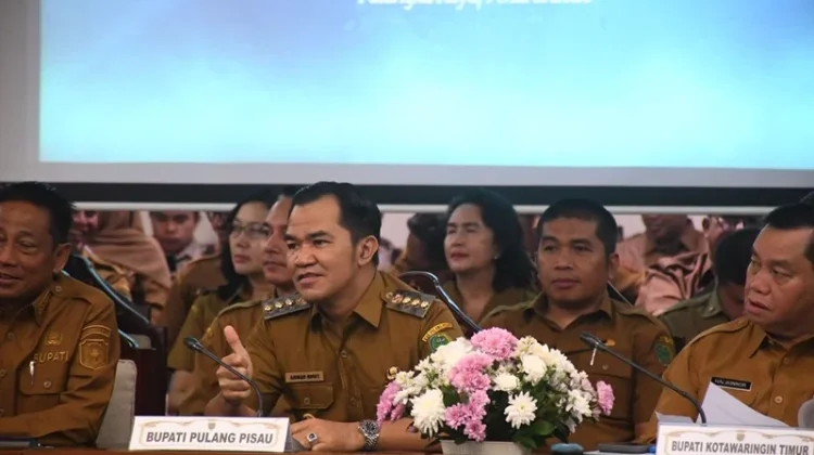 Tingkatkan Layanan Digital, Pemkab Pulang Pisau Hadiri Pertemuan TP2DD
