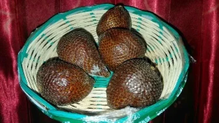 Kandungan Gizi pada Buah Salak