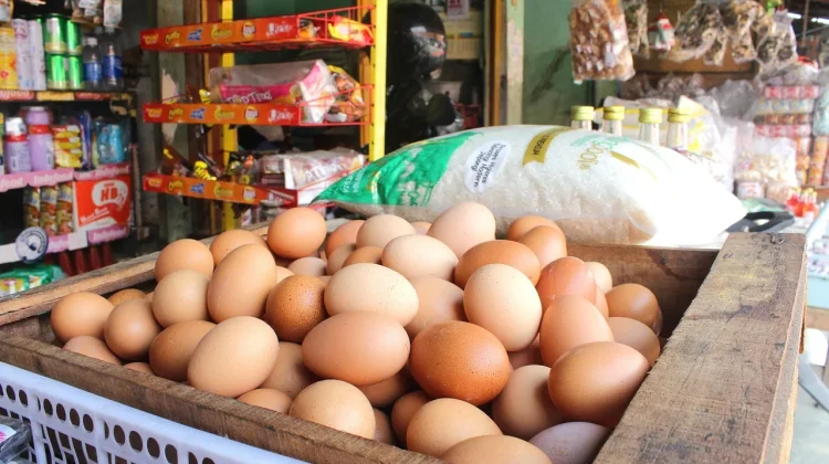 Penguatan Koperasi Merah Putih Dorong Ekonomi Rakyat Daerah