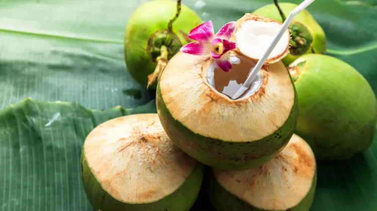 Khasiat Air Kelapa bagi Orang yang Sedang Berpuasa