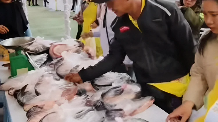 Pemprov Kalteng Subsidi Ikan Segar untuk Masyarakat