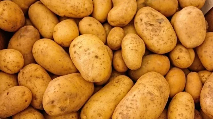 Kulit Kentang untuk Menurunkan Demam Anak