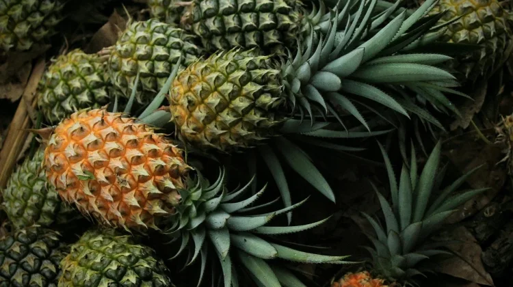 Buah Nenas, Segar dan Kaya Manfaat untuk Kesehatan