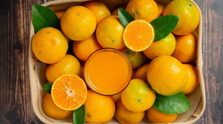 Jenis Jeruk Populer dan Resep Olahan Segarnya