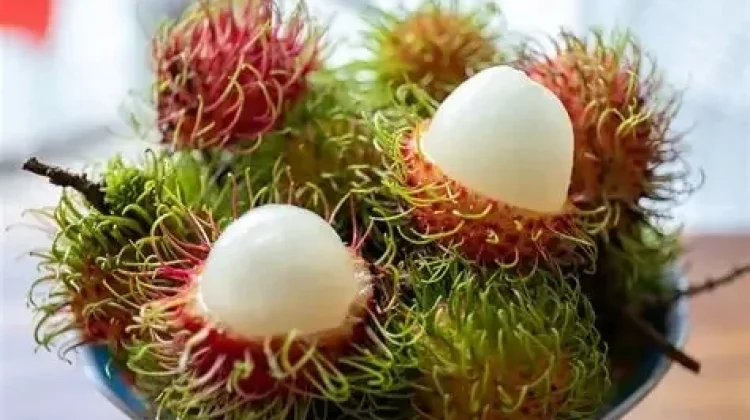 Manfaat Biji Buah Rambutan bagi Kesehatan Tubuh
