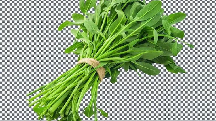Daun Kangkung dan Khasiatnya untuk Rambut