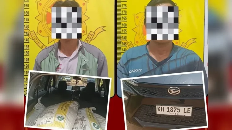 Mandor Sawit Gelapkan Pupuk Libatkan Rekan Kerja Berujung Pidana