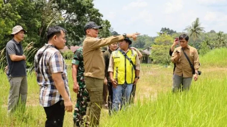 Pemerintah Kabupaten Barito Timur Dorong Sektor Pertanian dan Perikanan