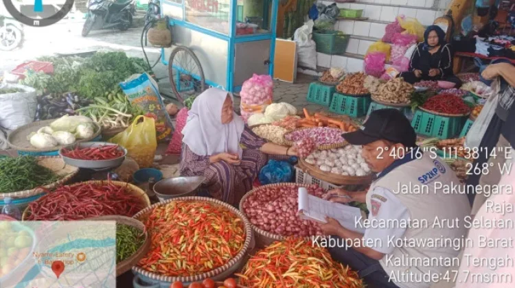 Harga Cabai di Pangkalan Bun Anjlok Signifikan pada Awal April 2026