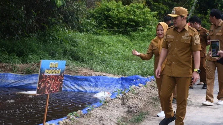 Bupati Pulang Pisau Serahkan Bantuan Benih Ikan ke Pokdakan